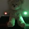 Ghost Hunting Bear (XL Static Trigger)