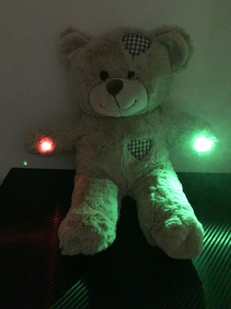 ghost hunting boo teddy bear