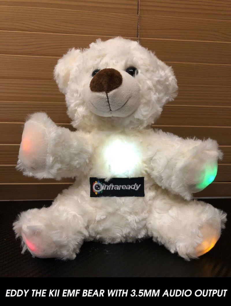 EDDY THE EMF KII GHOST HUNTING BEAR
