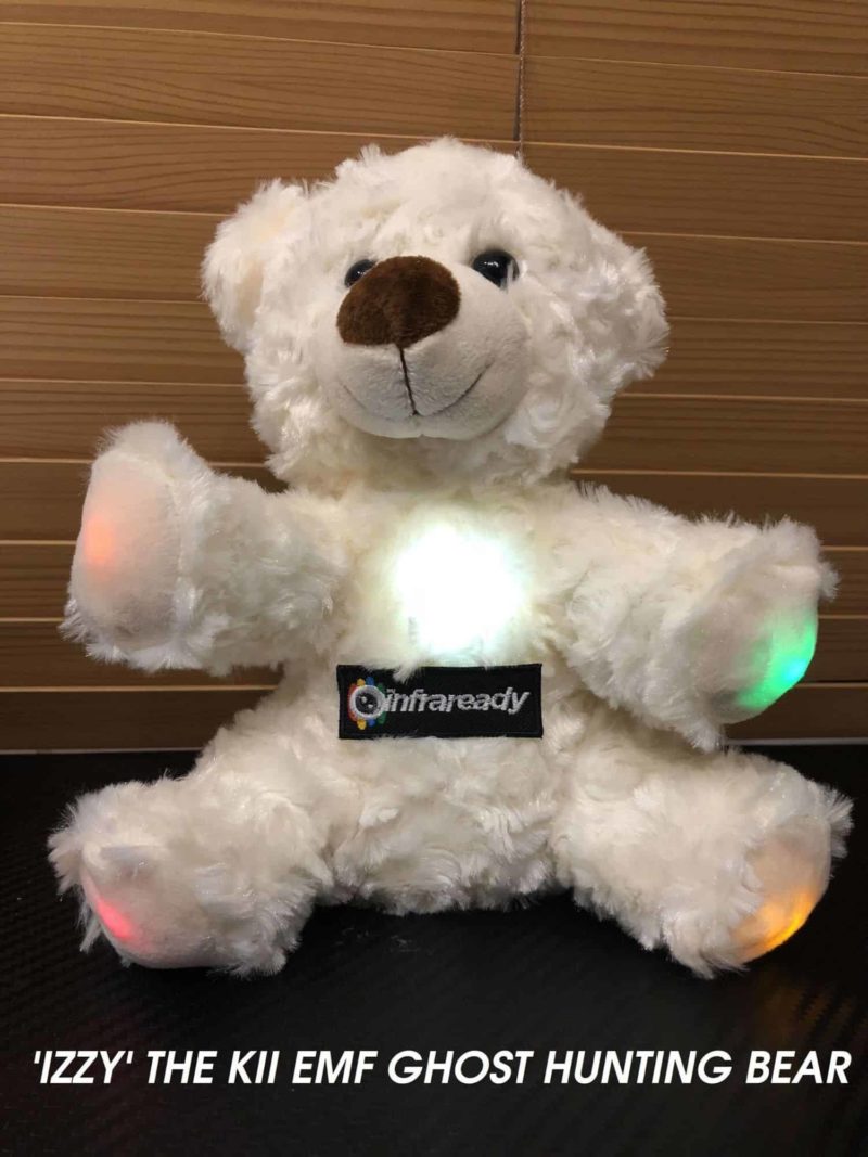 IZZy THE EMF KII GHOST HUNTING BEAR