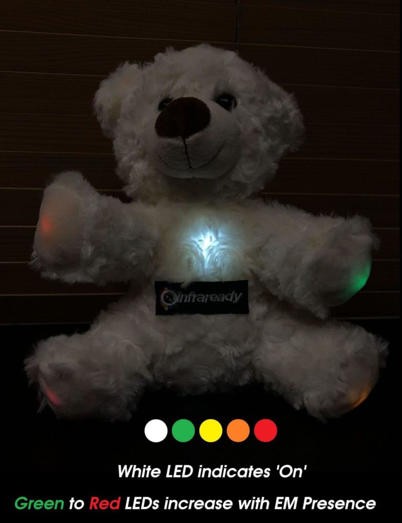 izzy kii emf ghost hunting bear