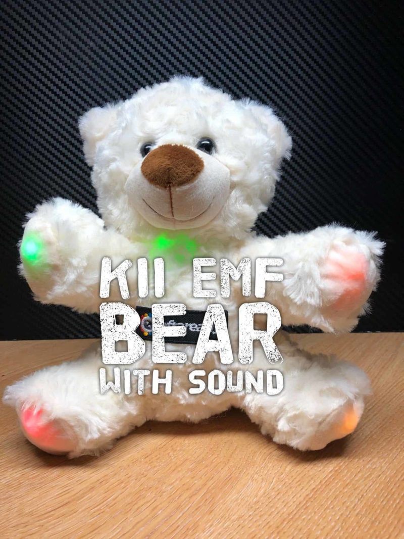 kii emf boo bear ghost hunting emf k2