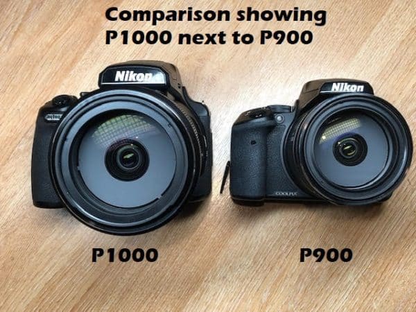 Nikon P900 vs P1000