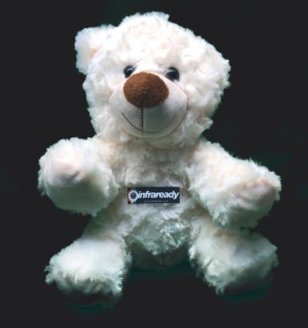 Ghost Hunting Bear EMF KII