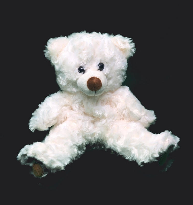 Ghost Hunting Teddy Bear