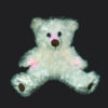 REM POD Ghost Hunting Bear