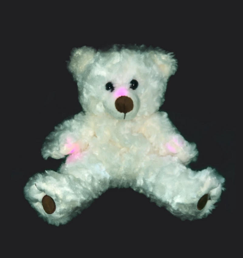 Paranormal Teddy Bear REM
