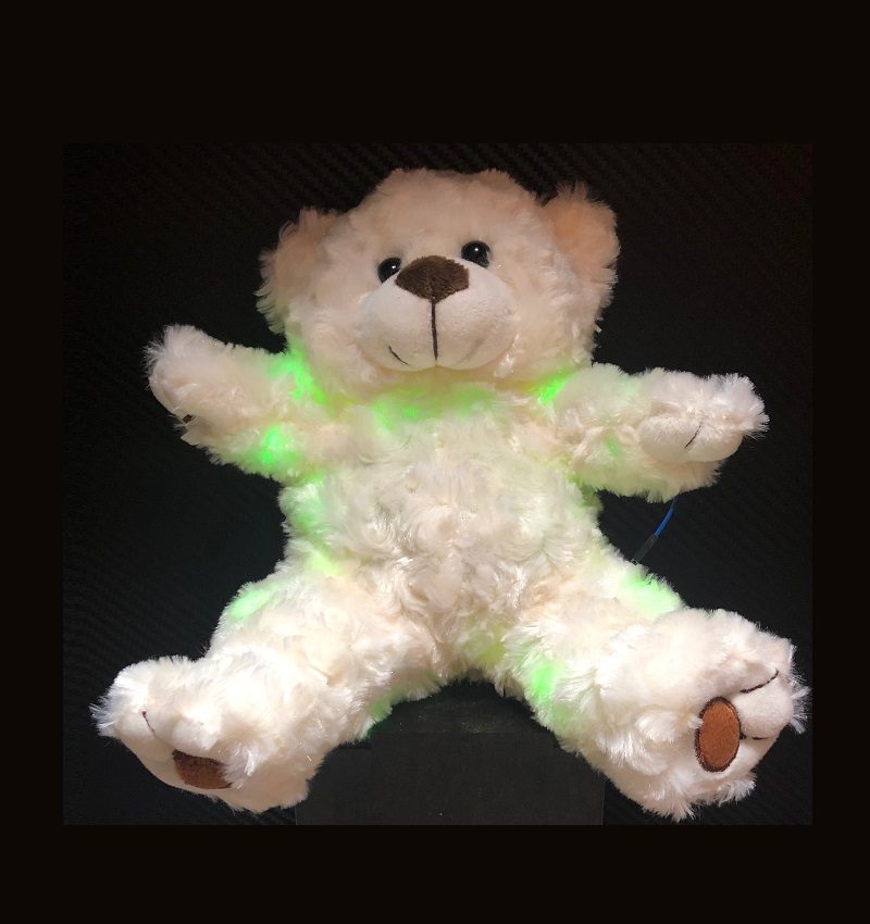 Ghost Hunting Teddy