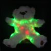 Ghost Hunting Static Trigger Teddy Bear