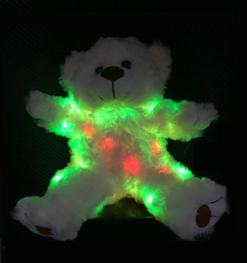 Ghost Hunting Teddy Bear