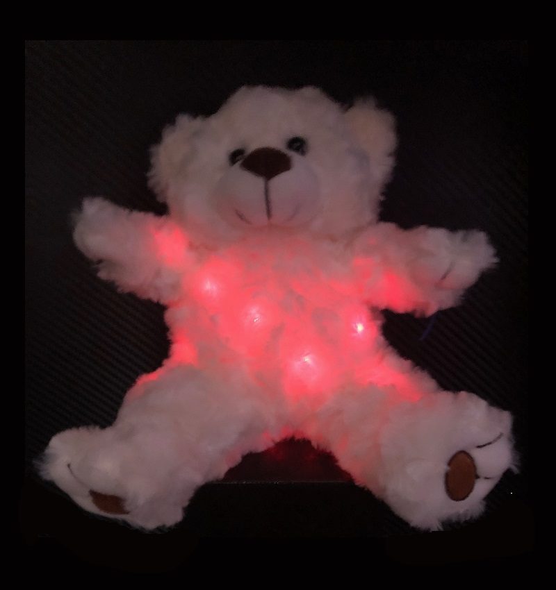 Paranormal Teddy