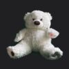 Ghost Hunting Bear with +/- Static Field LED’s