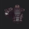 Night Vison Wildlife Camera FZ200 Fixed F2.8 Leica Lens